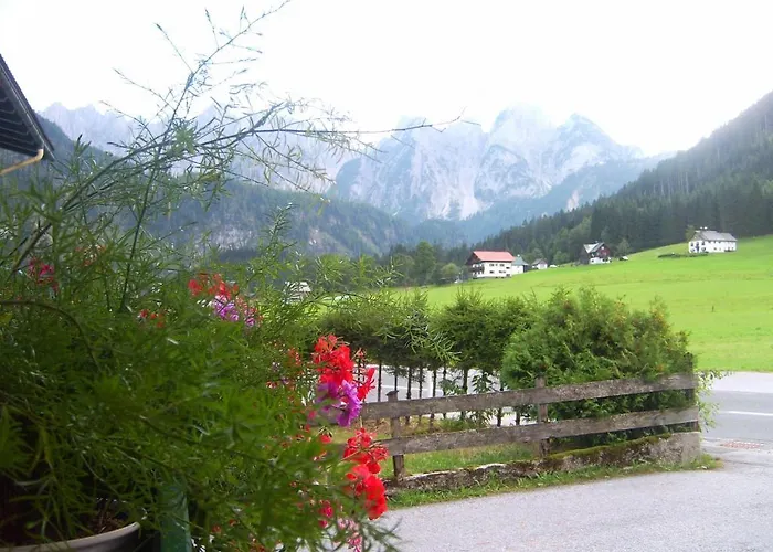 Gosaukammblick Oda ve Kahvaltı